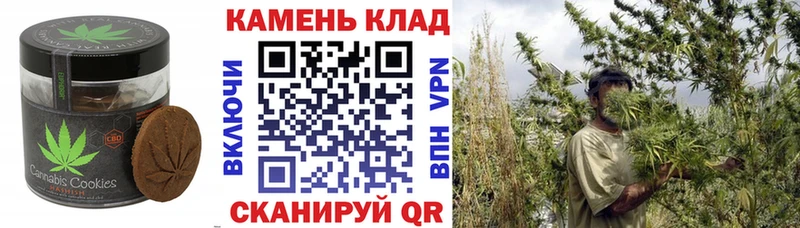 Canna-Cookies конопля  Купить закладки  Новая Ладога 