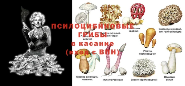 тгк Гусев