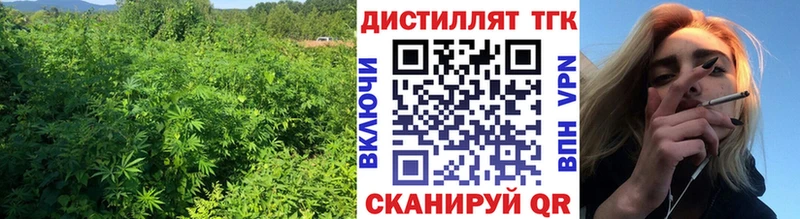 Дистиллят ТГК Wax  Купить закладки  Новая Ладога 